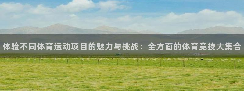 米兰体育官方正版app官方:体验不同体育运动项目的魅力与挑战