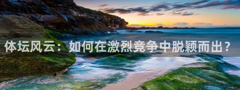 米兰体育官网下载招商电话是多少:体坛风云:如何在激烈竞争中脱