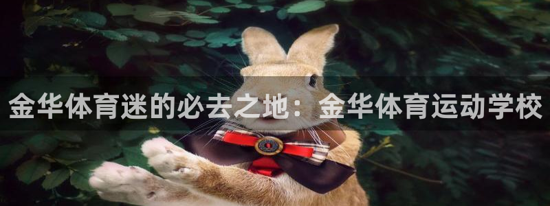 米兰体育官网下载是干嘛的公司:金华体育迷的必去之地:金华体育