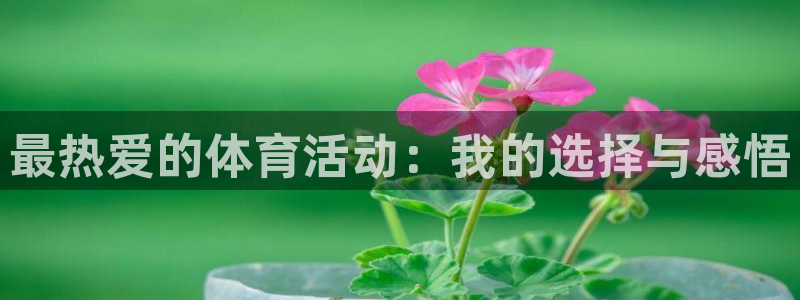 米兰体育官网下载平台注册要钱吗安全吗:最热爱的体育活动:我的